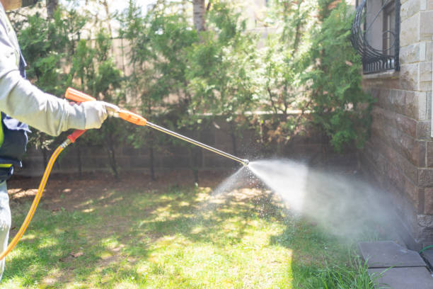 Reliable Blauvelt, NY Pest Control Solutions